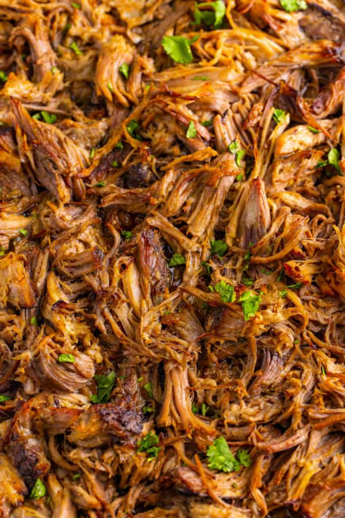 Crispy shredded Slow Cooker Carnitas close up with cilantro