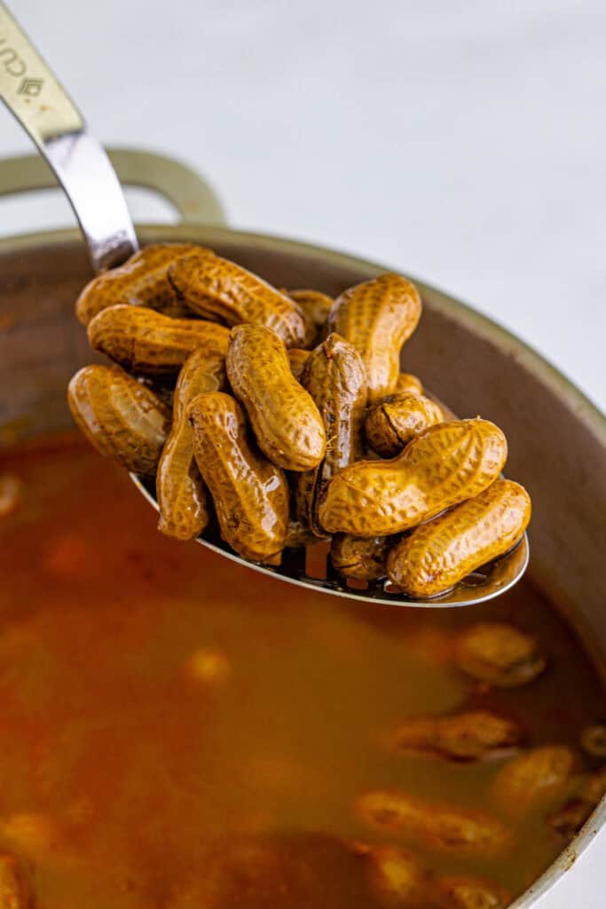 Spoon lifting tender Creole Boiled Peanuts from the seasoned cooking liquid.