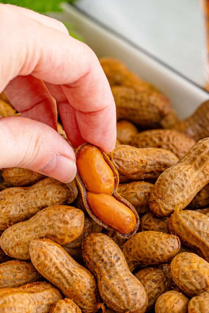 Hand holding an opened shell to show the tender peanuts inside homemade Creole Boiled Peanuts.