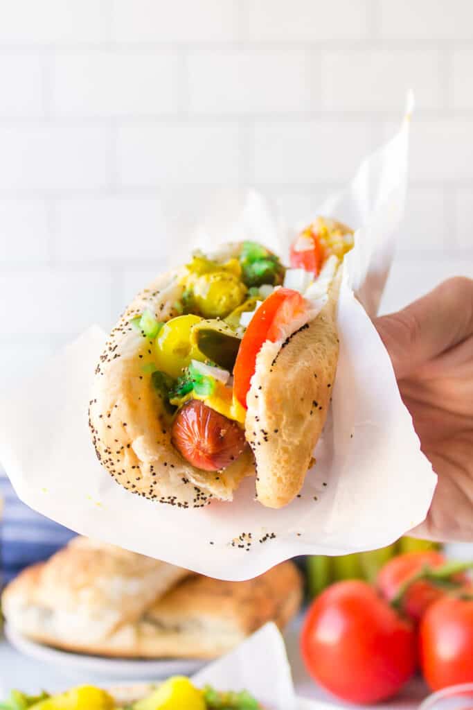 Hand holding an authentic Chicago Hot Dog topped with mustard, sweet relish, sport peppers, pickle spear, tomato, onion, and celery salt