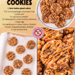 turtle cookies facebook collage