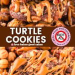 turtle cookies pin collage