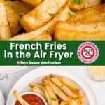 french fries in the air fryer pin collage 1