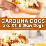carolina dogs pin collage 1