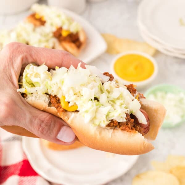 Square image of a hand holding a Carolina Dog loaded with hot dog chili, creamy slaw, mustard, and chopped onions.