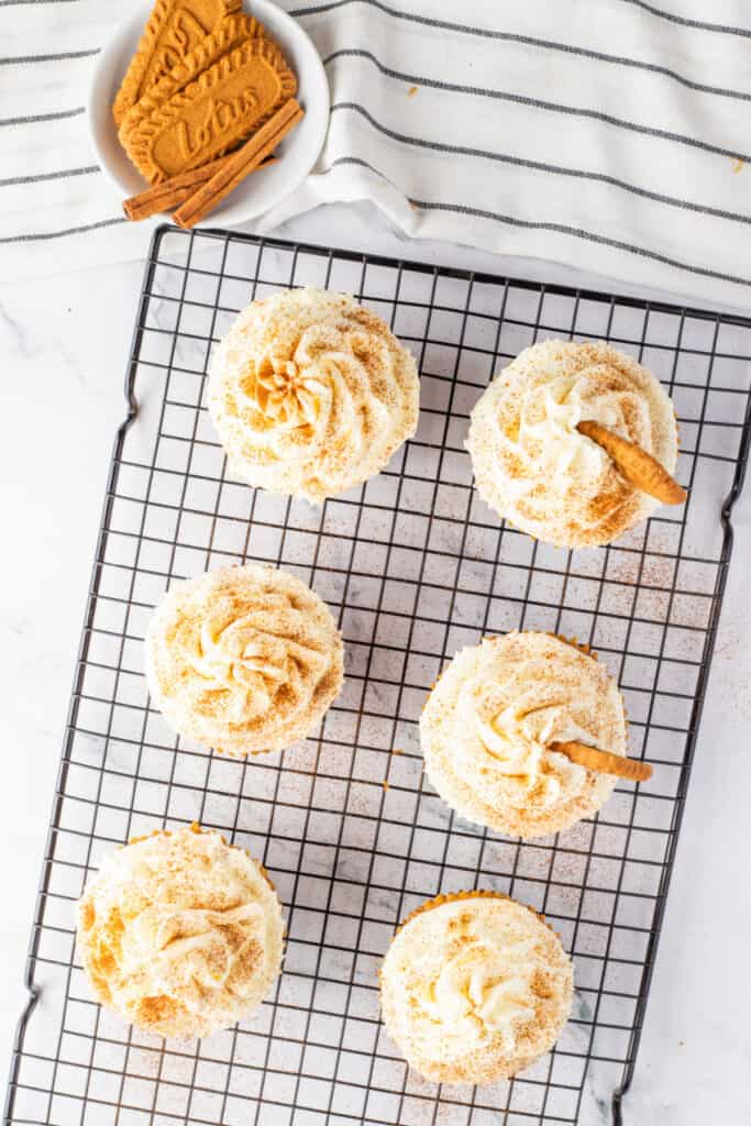 Finished mini pumpkin cheesecakes topped with whipped cream, cinnamon, and Biscoff cookie pieces.
