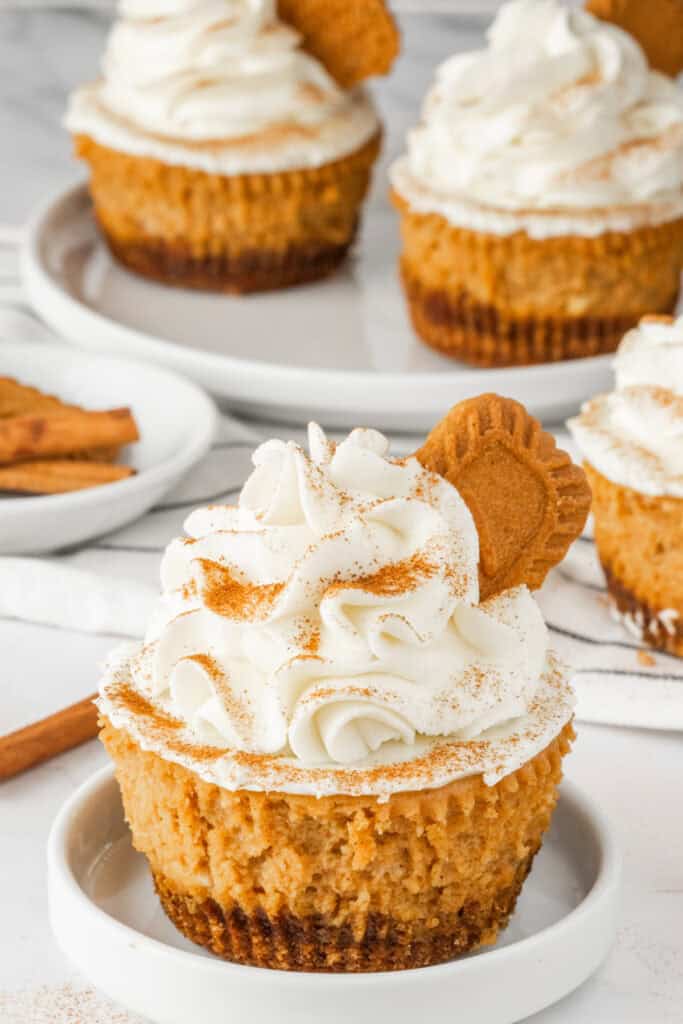 Mini pumpkin cheesecake with Biscoff crust topped with whipped cream, cinnamon, and a Biscoff cookie.