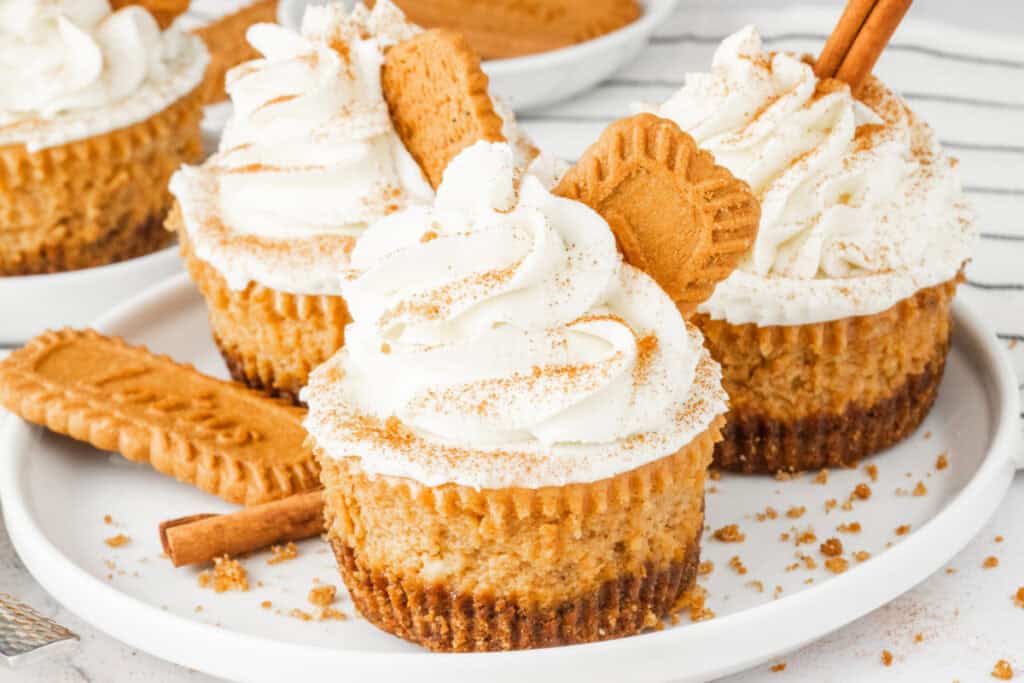 Three mini pumpkin cheesecakes with Biscoff crusts, whipped cream, cinnamon, and cookie garnishes on a serving plate.