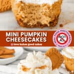 mini pumpkin cheesecakes pin collage 1