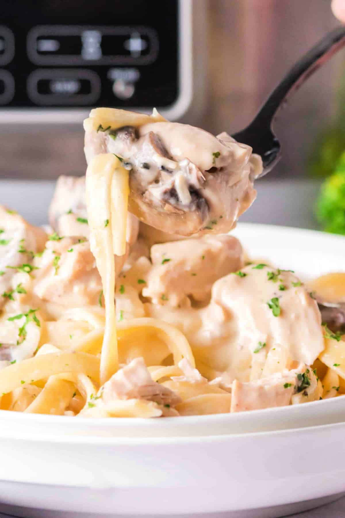 Finished slow cooker chicken stroganoff served for dinner