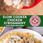 Slow cooker chicken stroganoff Pinterest recipe graphic