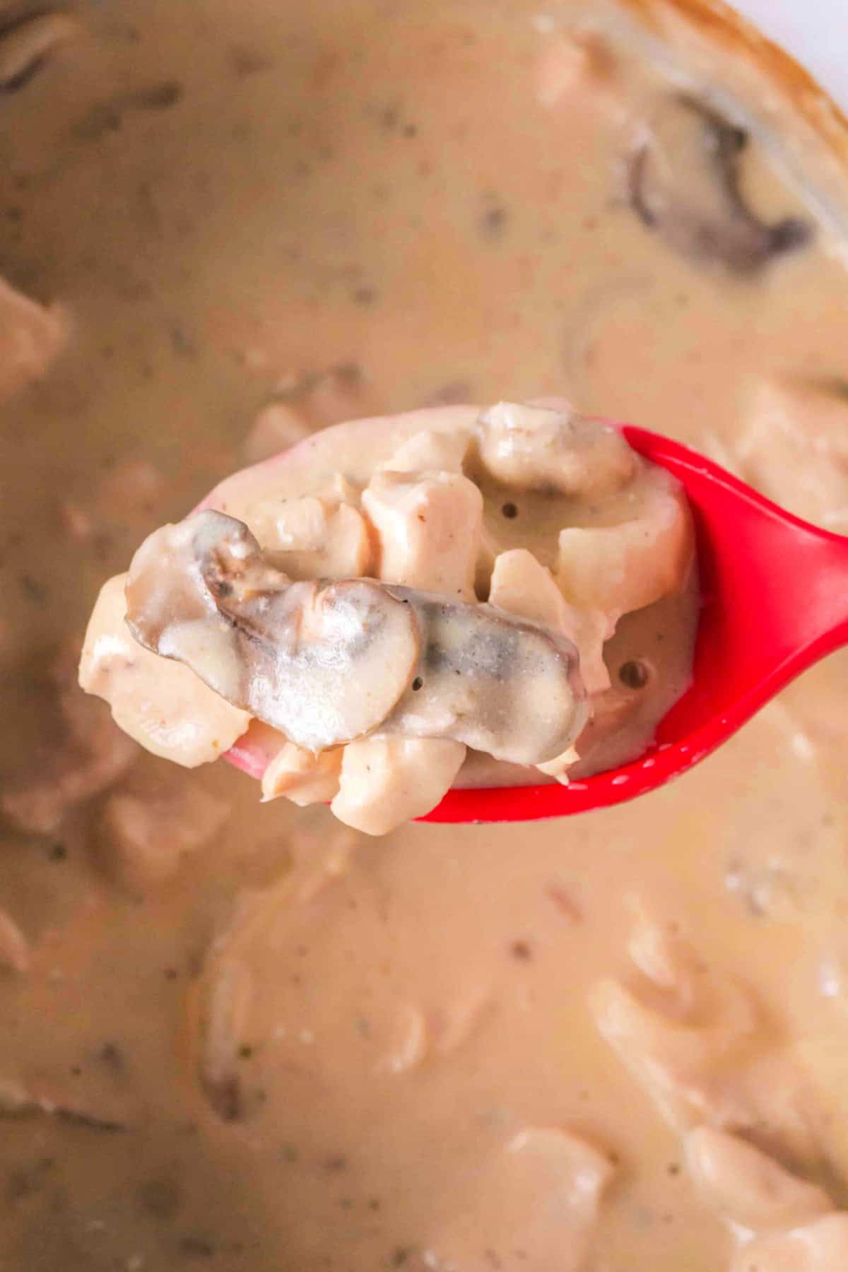 Step 6 for making slow cooker chicken stroganoff